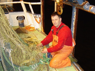 Duidelijk herstel visbestanden Noordzee