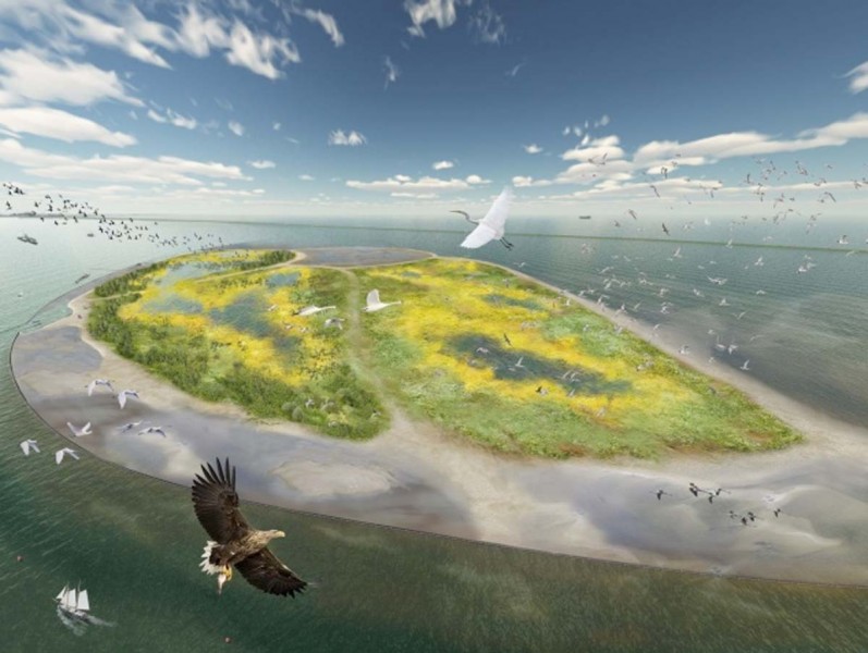 Natuurmonumenten wil in het Markermeer een vogelparadijs gaan creëren