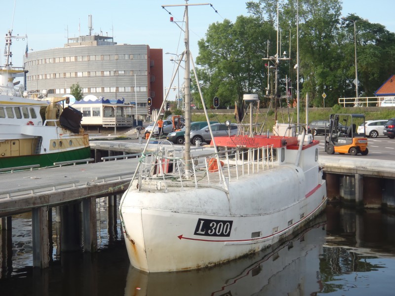 Meeste Deense tong in IJmuiden