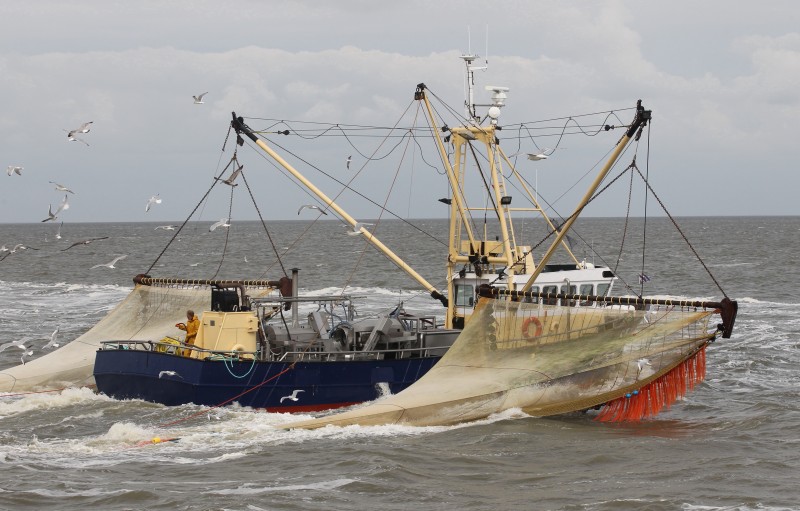 'Eurokotters met puls fnuikend voor reguliere garnalenvissers'