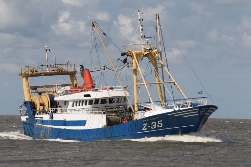 Belgische visserijvloot over vijf jaar duurzaam