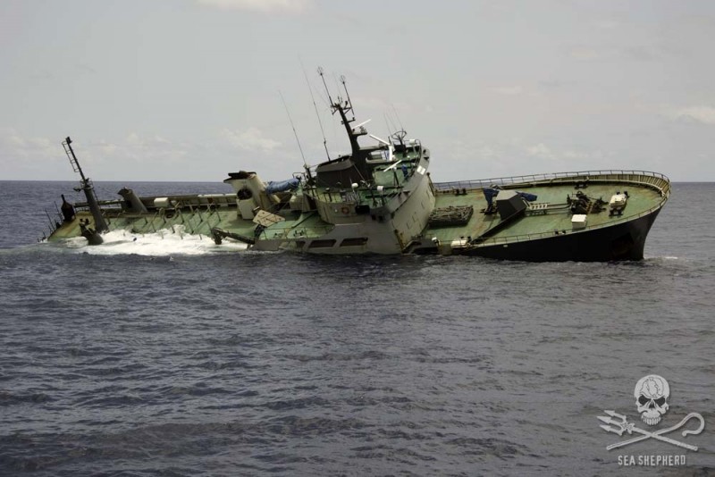 Sea Shepherd redt bemanning vistrawler na maanden strijd