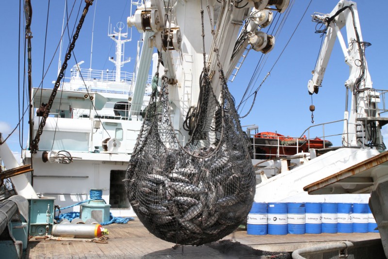 Katwijkers nemen Franse tonijnvisser CFTO over