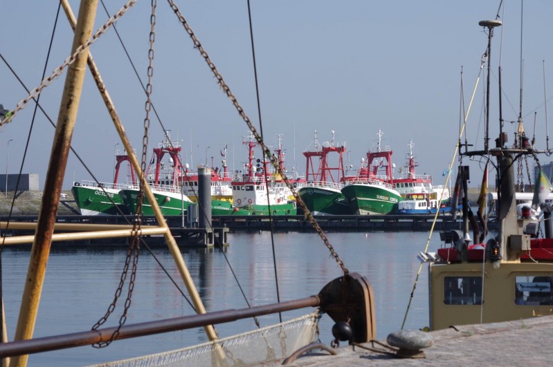 Noordzeehavens vol werkloze hulpschepen