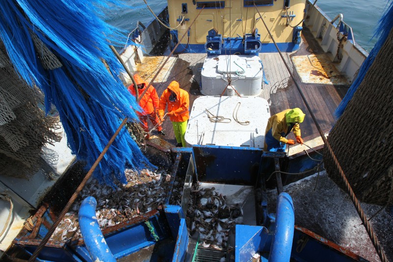 Visserij maakt zich op voor strijd om Britse visgronden