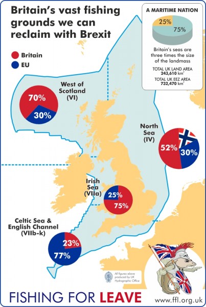 Kans op behoud 95% visgronden na Brexit