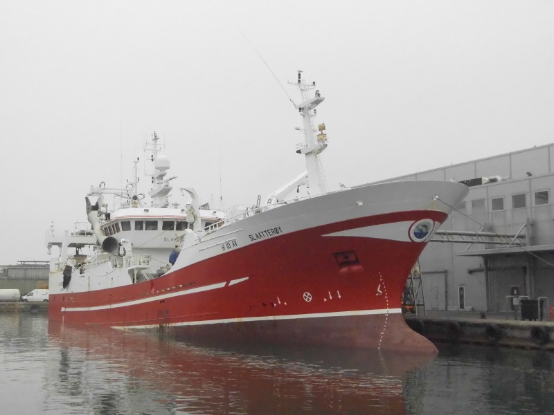 Noorse vissers worstelen met enorme scholen makreel