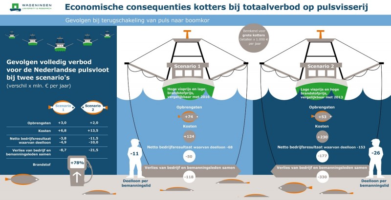Stoppen met puls kost visserij 8,7 miljoen euro per jaar