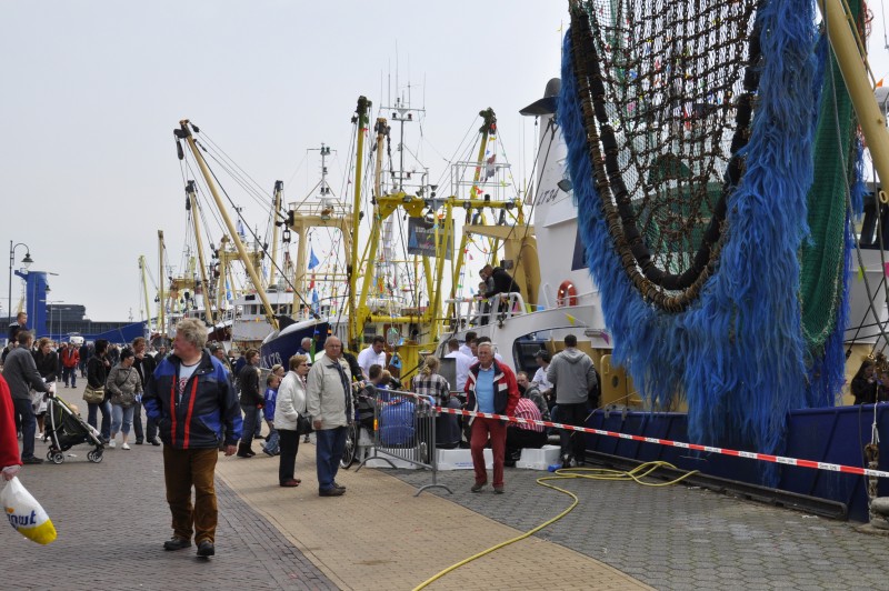 Urker vissers in mineur: Visserijdagen geschrapt