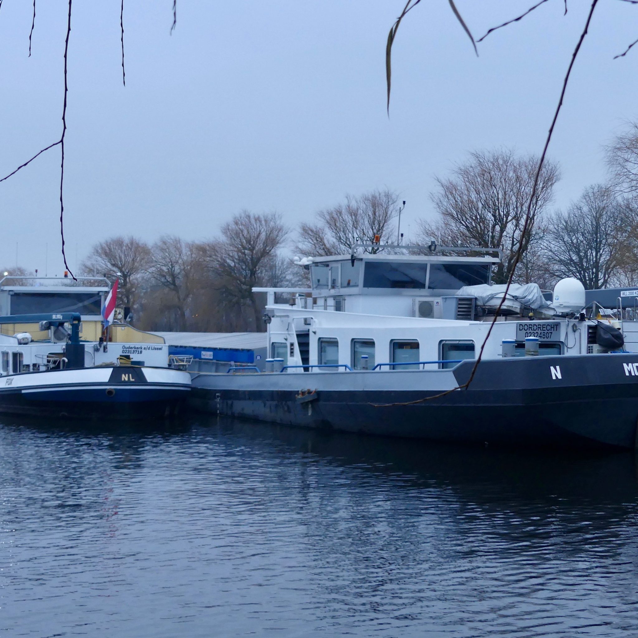 Twee bij het fosfine-incident betrokken schepen Fox en Mordomia aan de palen in de Amsterdamse Neptunushaven. Dichtbij liggen ook twee geladen duwbakken. (Foto Heere Heeresma jr.)
