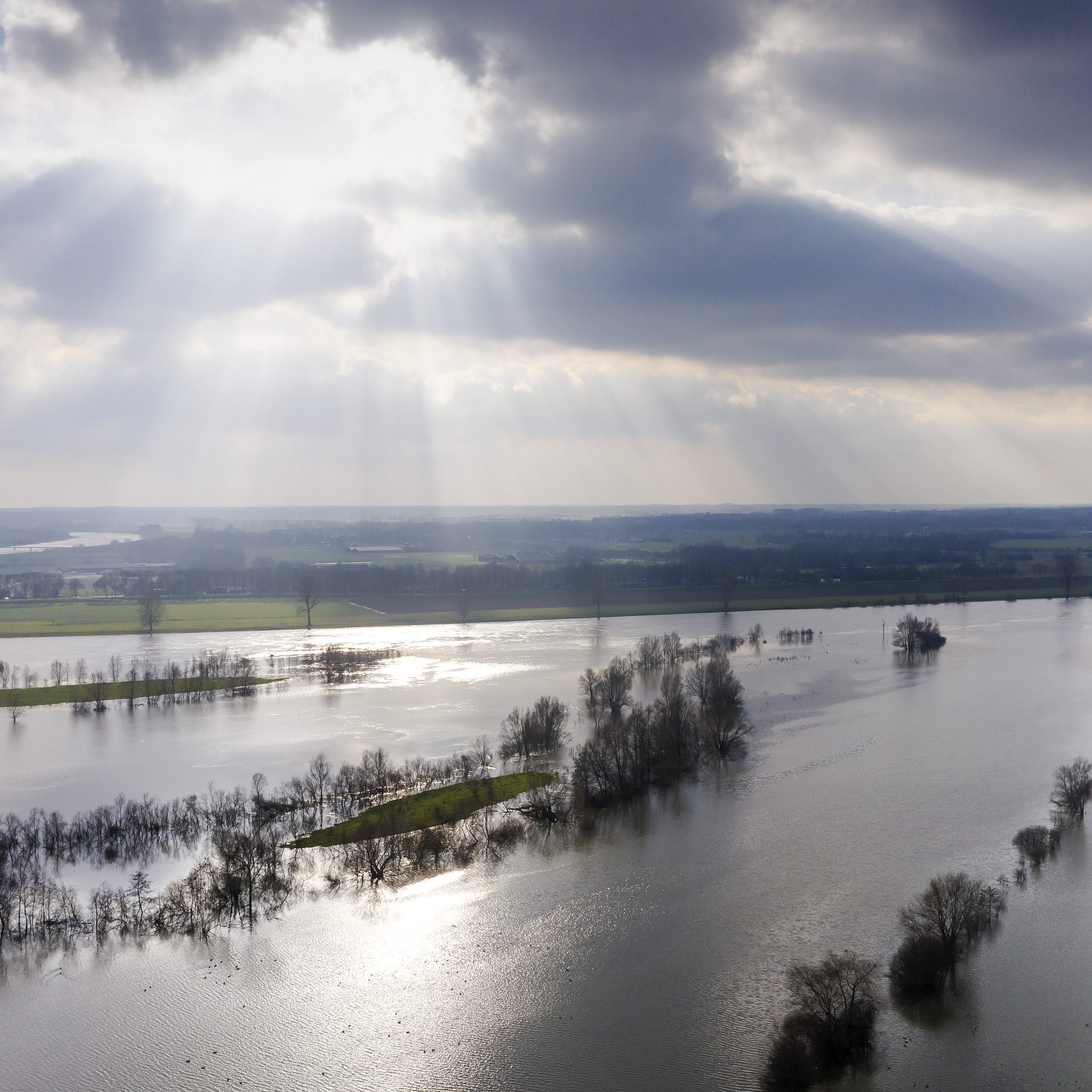 Hoog water in de Maas bij Wijchen. De waterstand in de grote rivieren Maas, Rijn, Waal en IJssel gaat de komende dagen sterk stijgen verwacht Rijkswaterstaat. (Foto ANP / Robin van Lonkhuijsen)