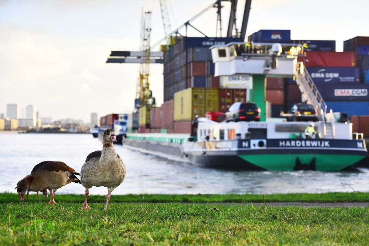 De huidige ontwrichting in Europa zal ook zijn verdere weerslag hebben op transport van goederen en dan in het bijzonder containers. (Foto Port of Rotterdam)