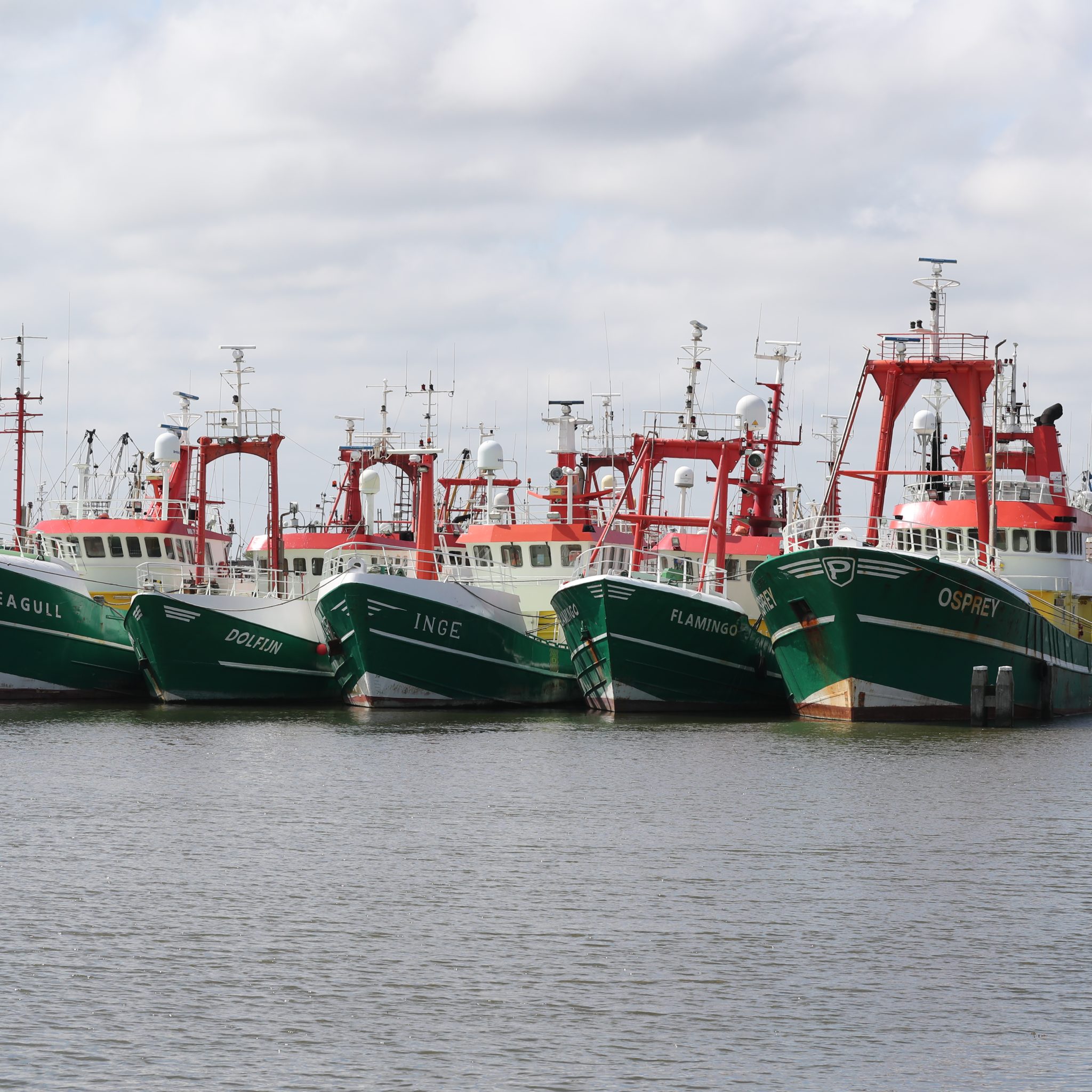 Elf offshore vaartuigen van Van Laar Maritime liggen op Lauwersoog doelloos voor de kant. (Foto Bram Pronk) 