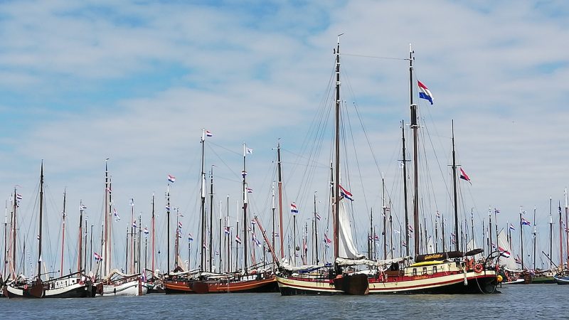 De vloot in protest (foto BBZ)