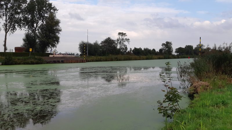 De afgelopen twee weken zijn door Rijkswaterstaat onderdelen van de Paddepoelsterbrug verwijderd en afgevoerd. (Foto RIjkswaterstaat)