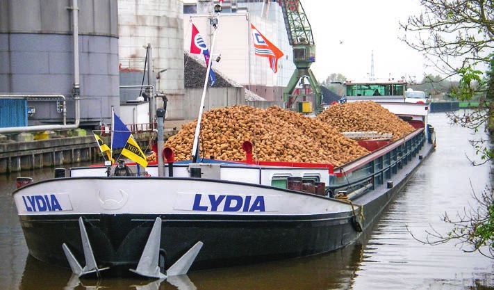 Vanaf Texel worden de suikerbieten al vele jaren per schip naar de suikerfabrieken gebracht. (Foto Cosun)