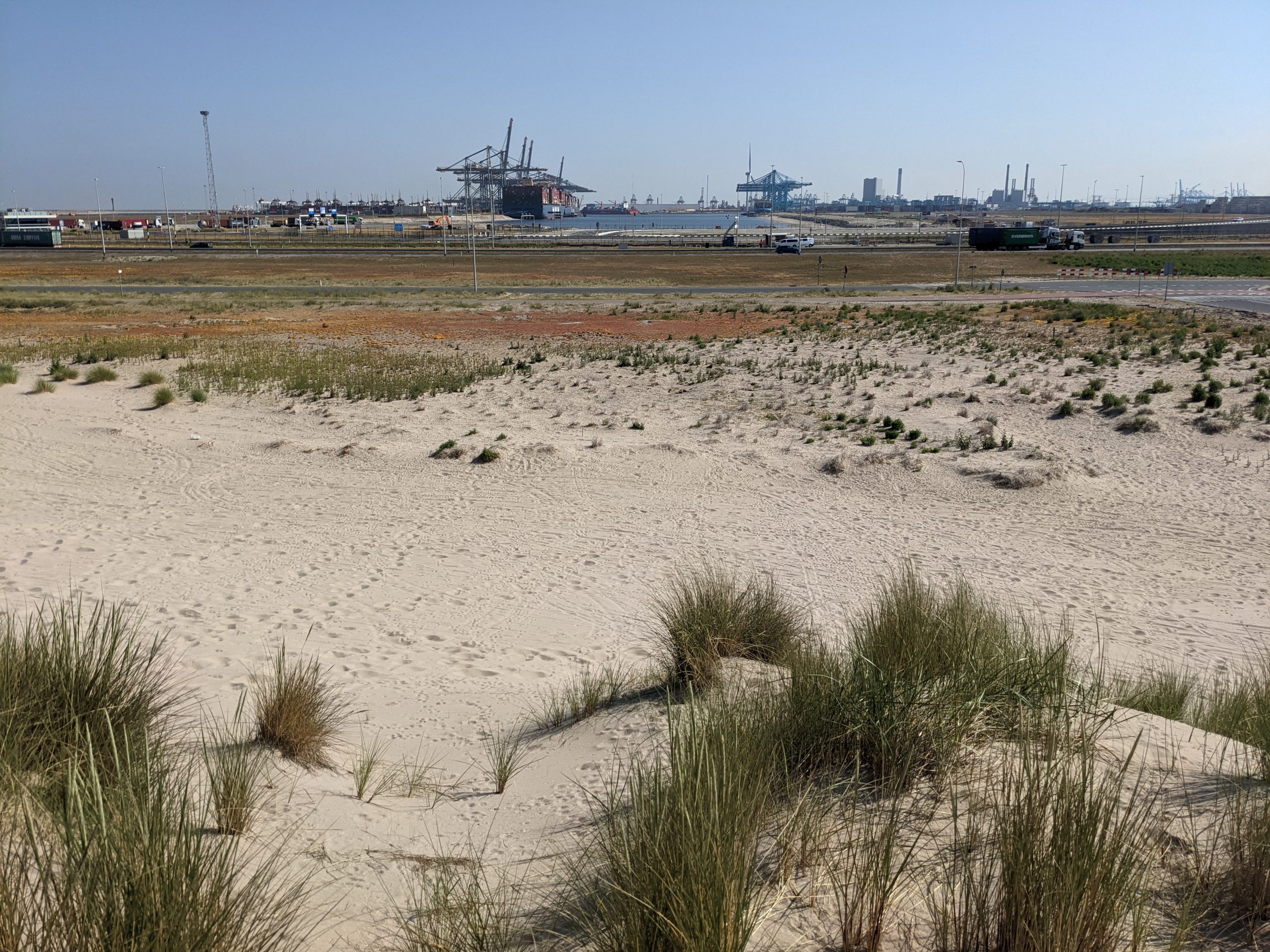 Hier komt het nieuwe havenervaringscentrum komt hier, zomer 2022 begint de bouw. (Foto Jelmer Bastiaans)