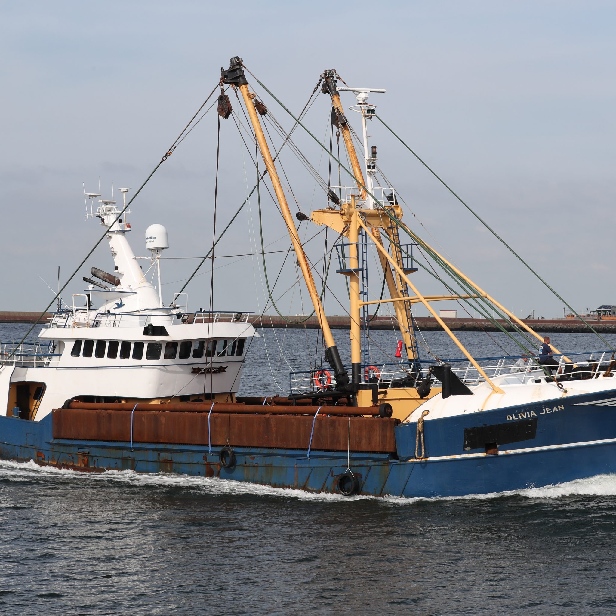 De TN-35 loopt zonder visserijnummer IJmuiden binnen. (Foto Bram Pronk)