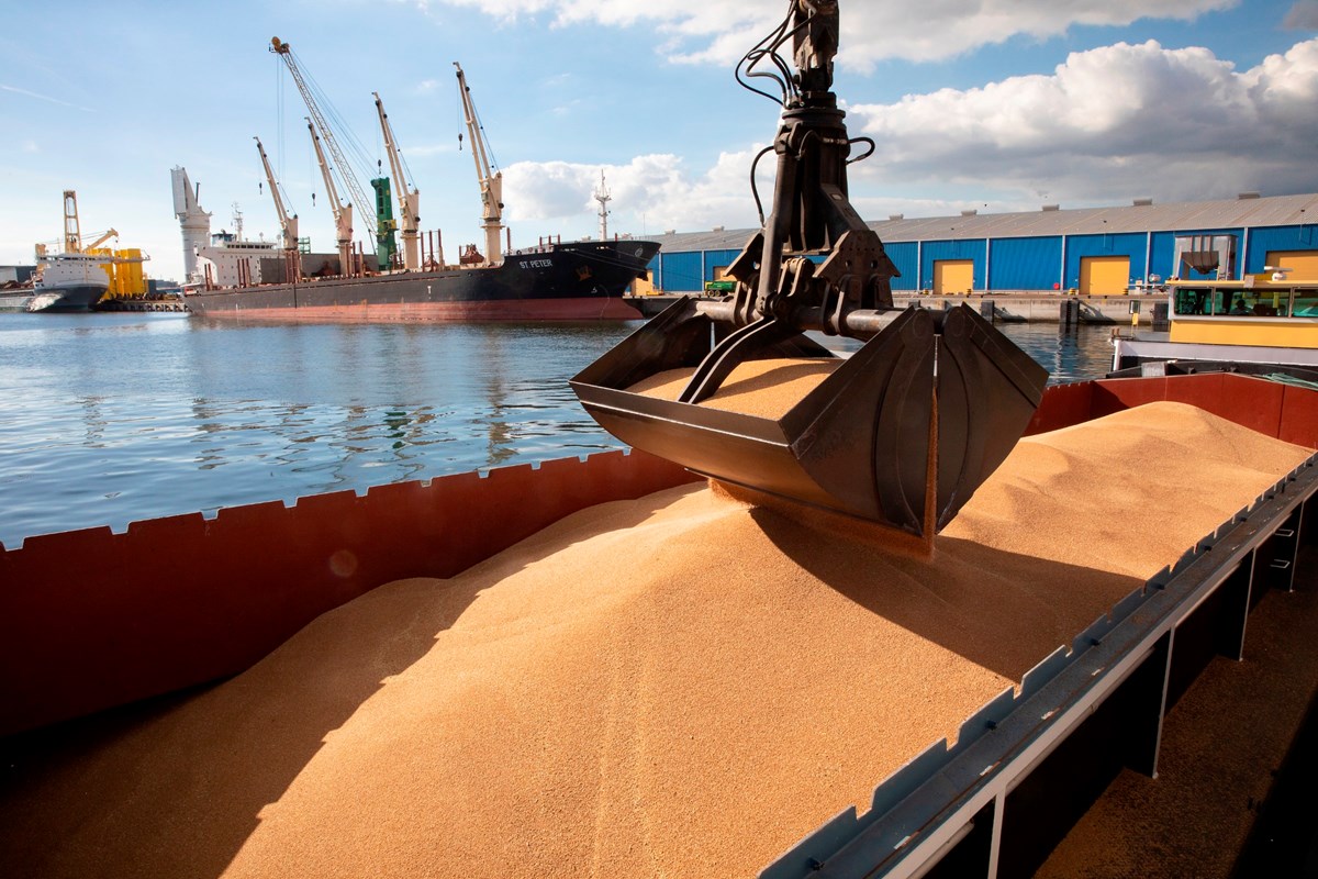 Droge bulk zag een grote groei in de overslagcijfers van de Nederlands-Vlaamse havens. (Foto North Sea Port)