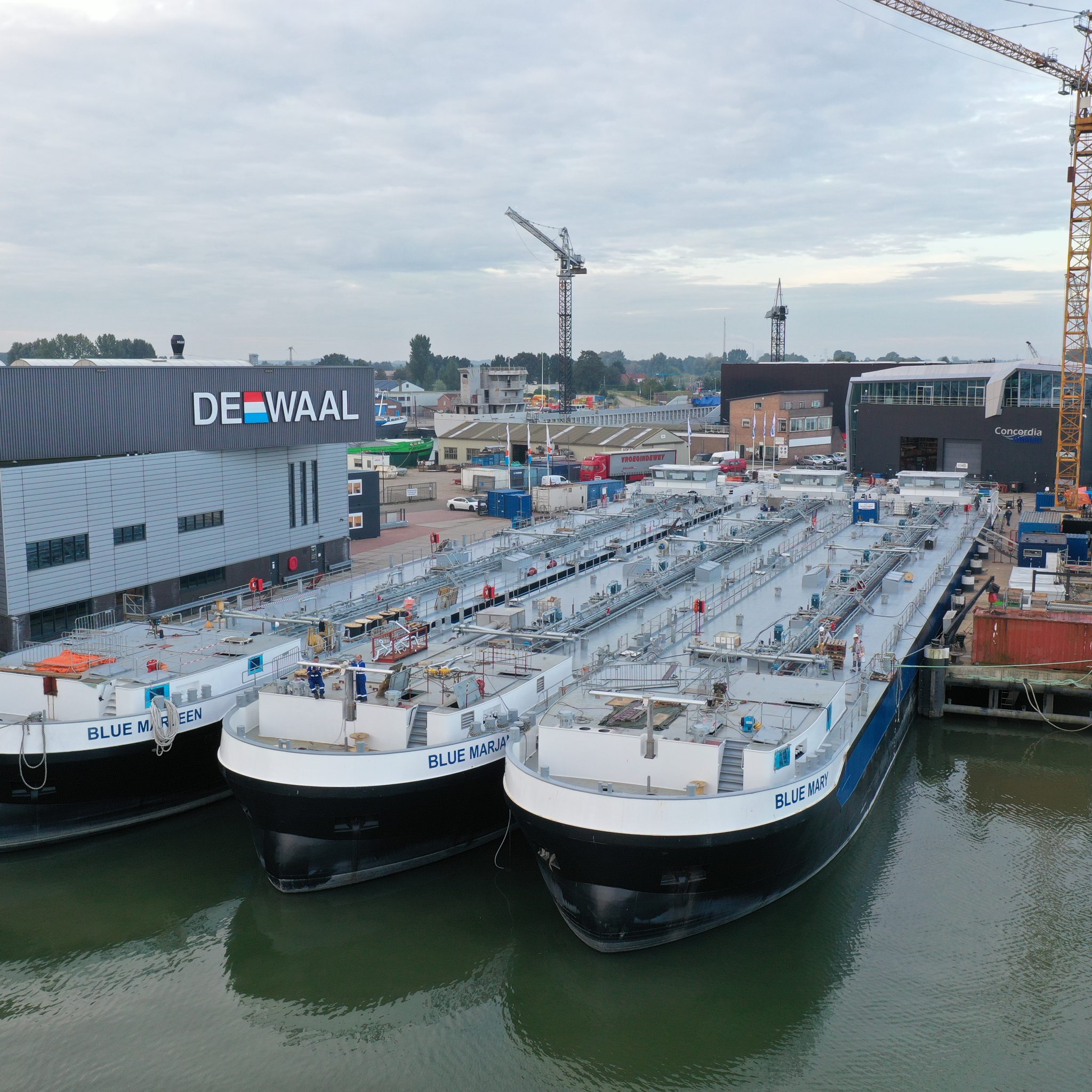 Drie LNG-tankers aan de kade in Werkendam. De middelste, Blue Marjan, is bijna klaar. Het schip dankt haar naam aan Marjan van Loon, directeur van Shell Nederland. (Foto's Concordia Damen)