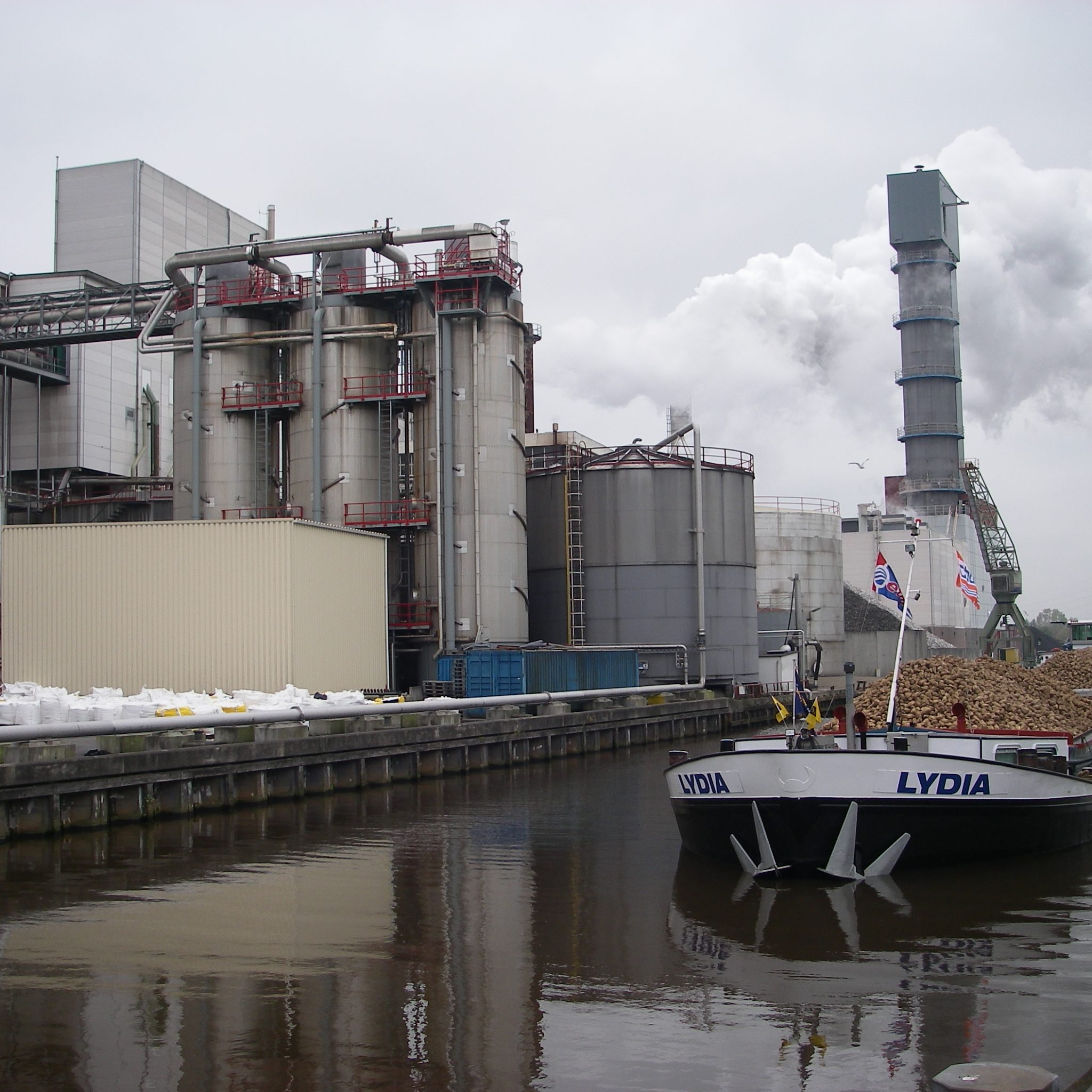 Lydia brengt suikerbieten van Texel bij de suikerfabriek van Cosun in Hoogkerk. (Foto Cosun)