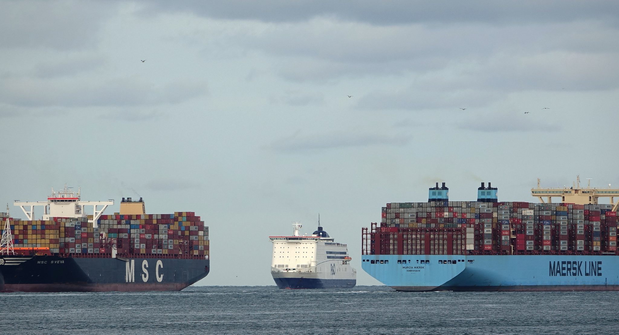 MSC passeert Maersk. (Foto Wikimedia)