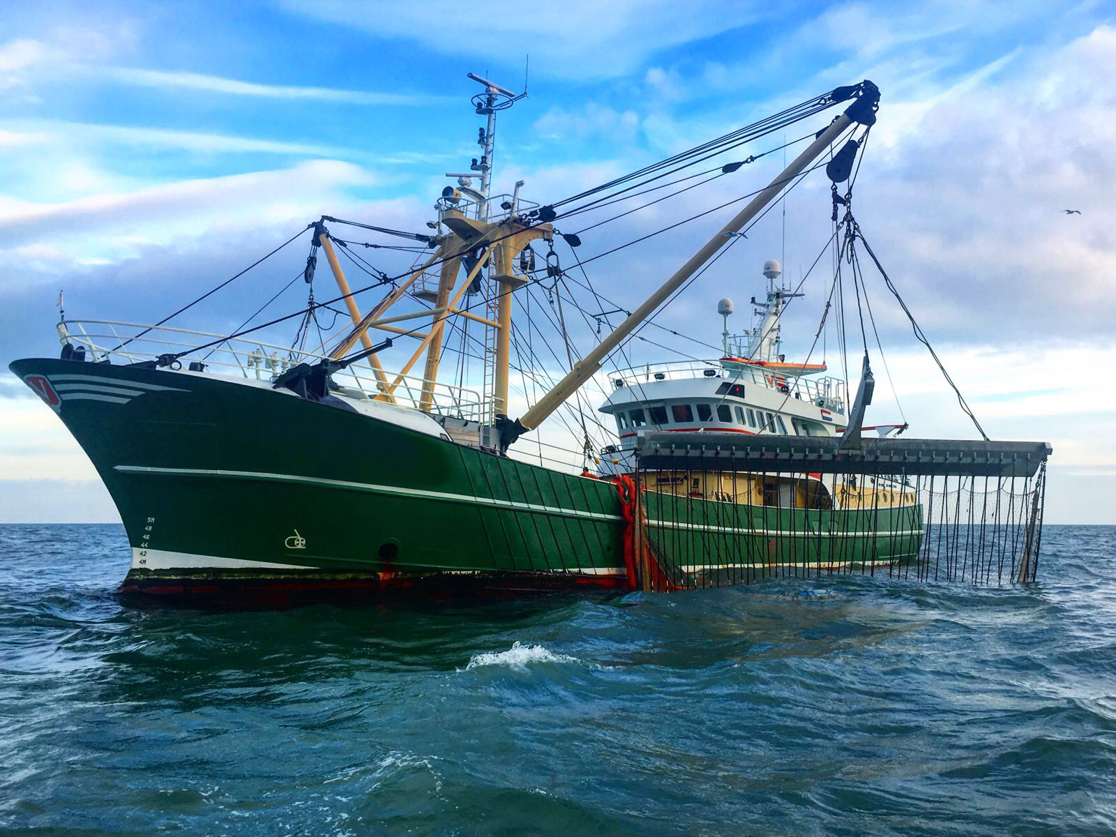 Terugkeer van de pulsvisserij is volgens de Nederlandse Vissersbond de beste oplossing. (Foto Nederlandse Vissersbond)