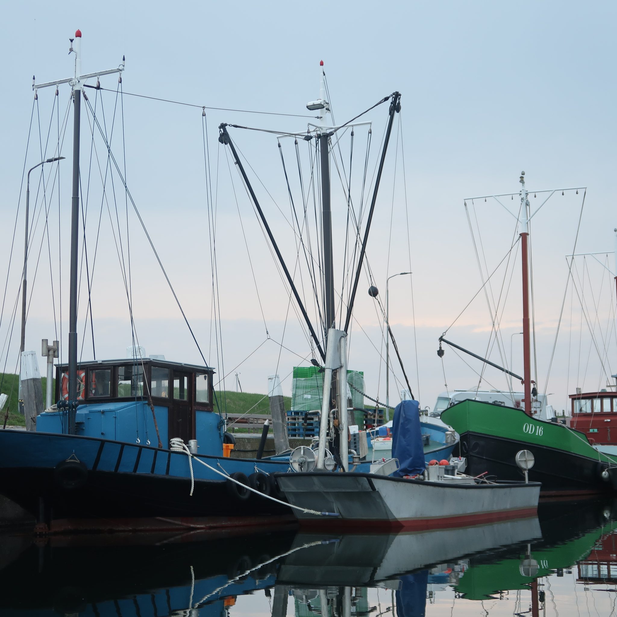 De OD-14 en de OD-16 zijn de enige twee kotters uit Ouddorp die jaarlijks deelnemen aan de visserij op Oosterscheldekreeft. (Foto W.M. den Heijer)