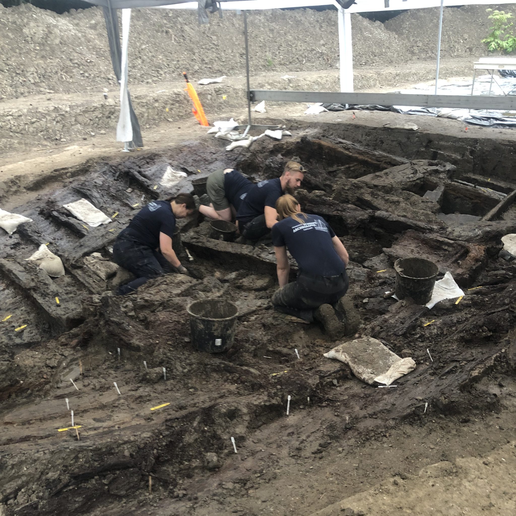 Archeologie-studenten graven zestiende-eeuws waterschipwrak af in Zeewolde. (Foto Monica Preller)